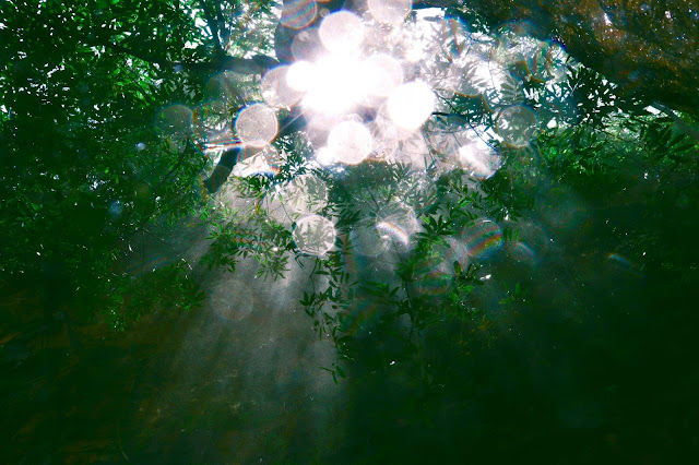 Godhas Waterfall