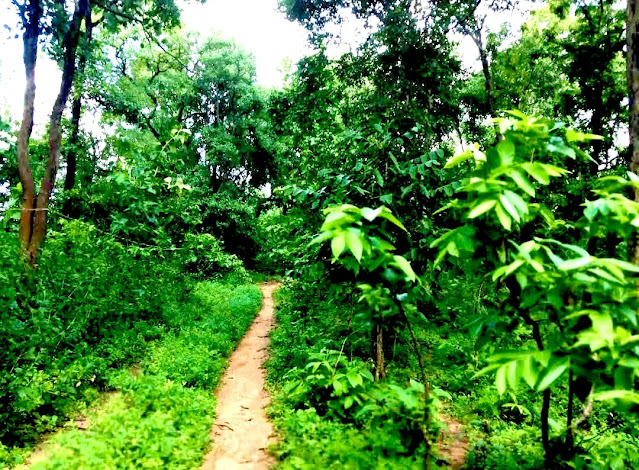 Chingra Pagar Waterfall, Amazing Nature view ,Natural Human Developed Road