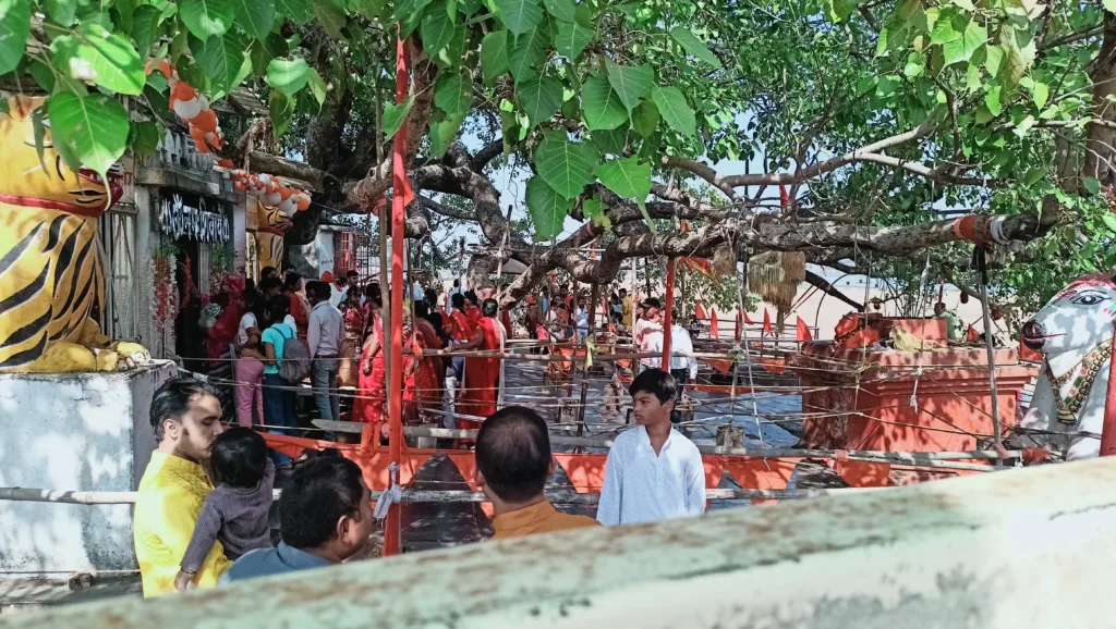 rajim राजिम