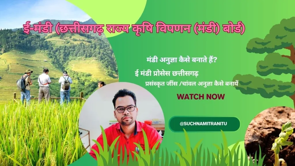 Rice ka e Mandi Anugya Chawal E Mandi Anugya