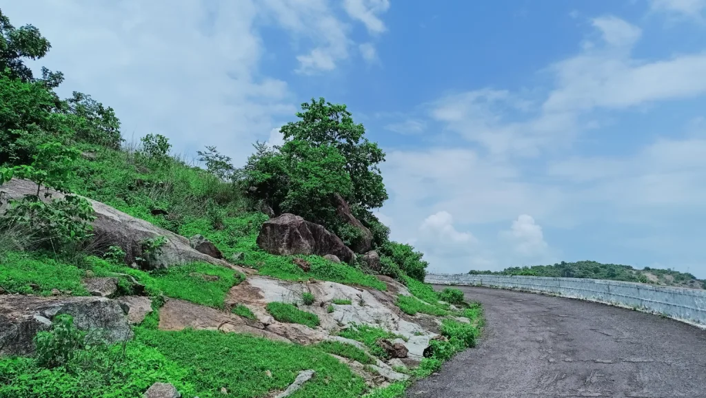 दुधावा बांध (12)