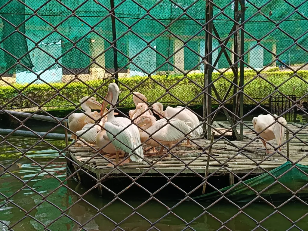 मैत्री बाग भिलाई (3)