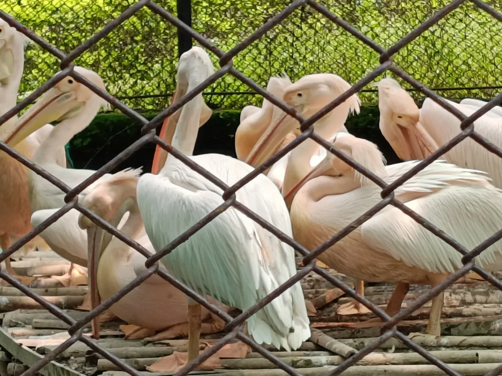 मैत्री बाग भिलाई (4) (1)