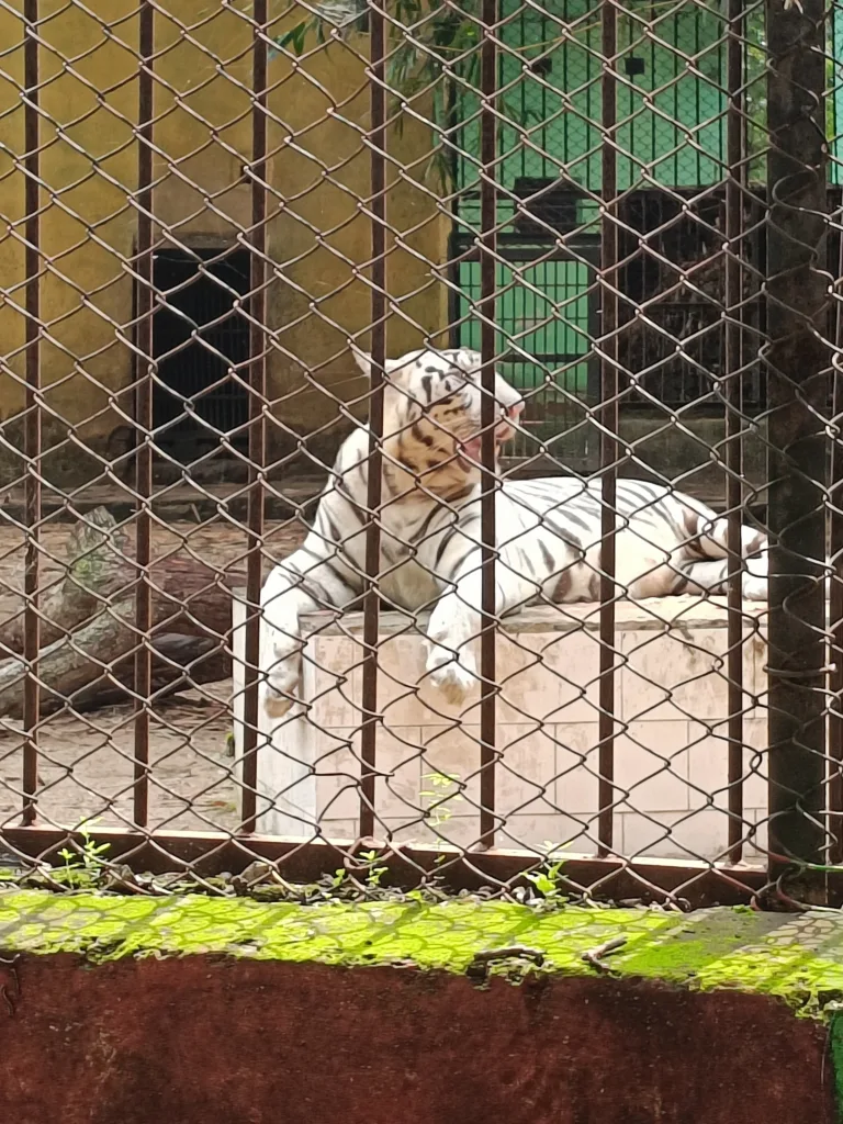 मैत्री बाग भिलाई (5)