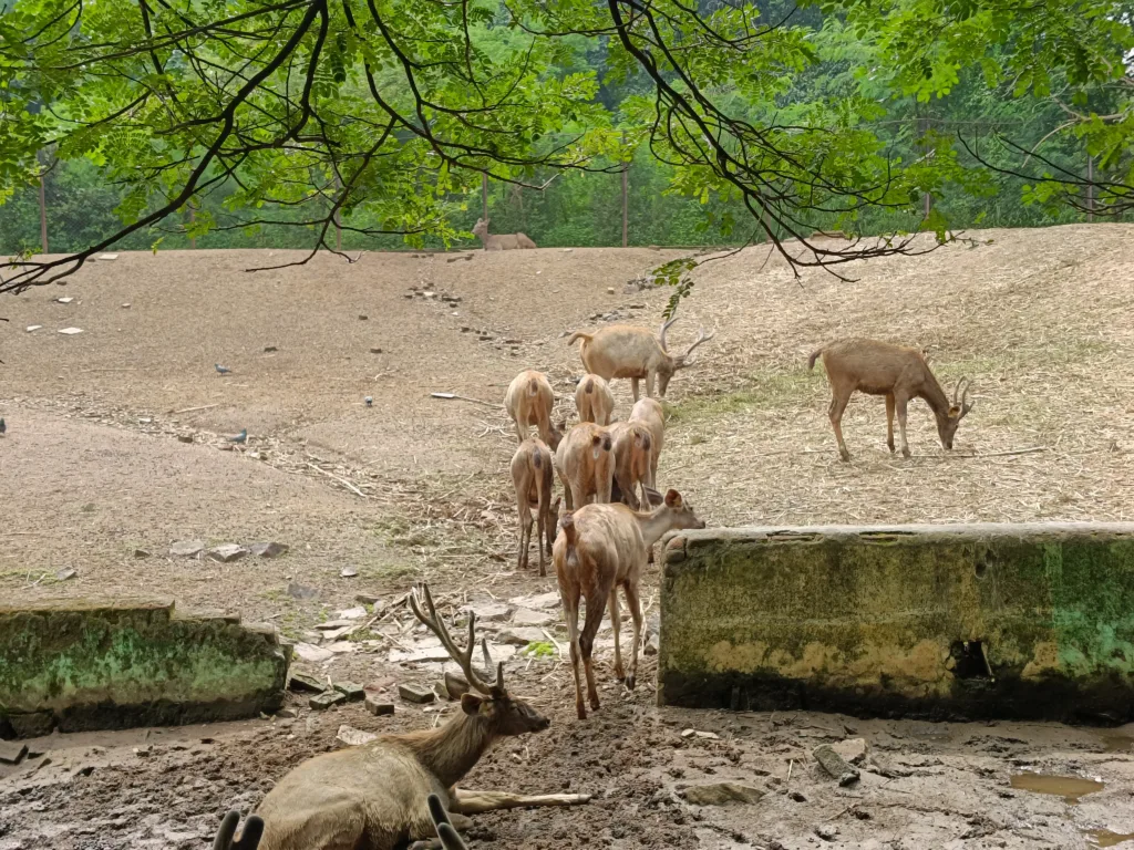 मैत्री बाग भिलाई (8)