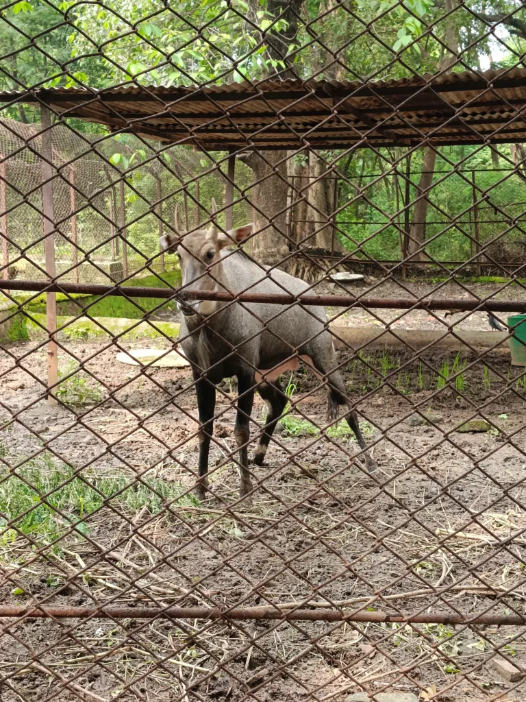 मैत्री बाग भिलाई (9)