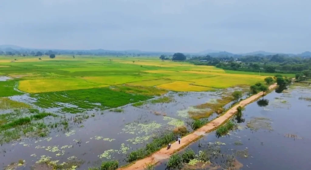 devinagaon kanker (2)