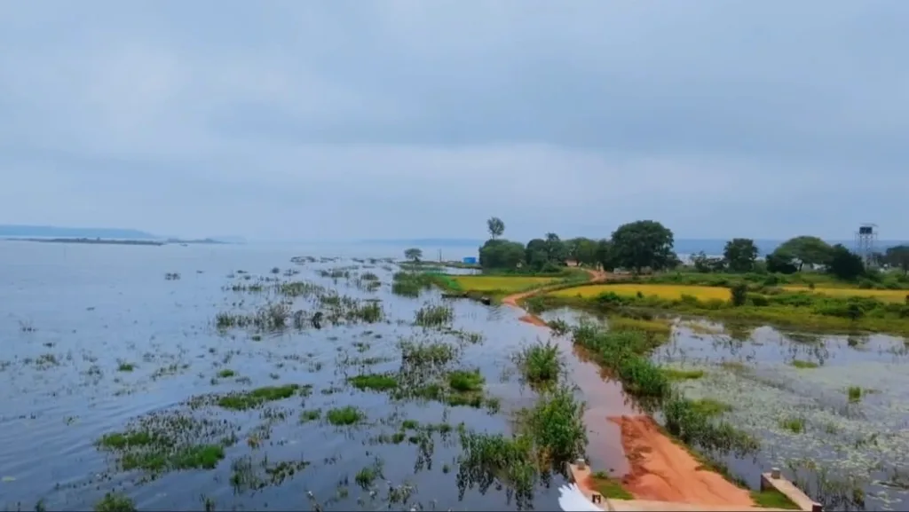 devinagaon kanker (3)