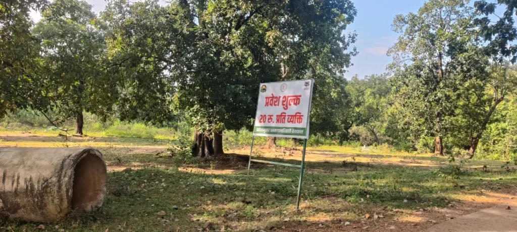 TATAMARI HILL STATION KESHKAL टाटामारी (5)
